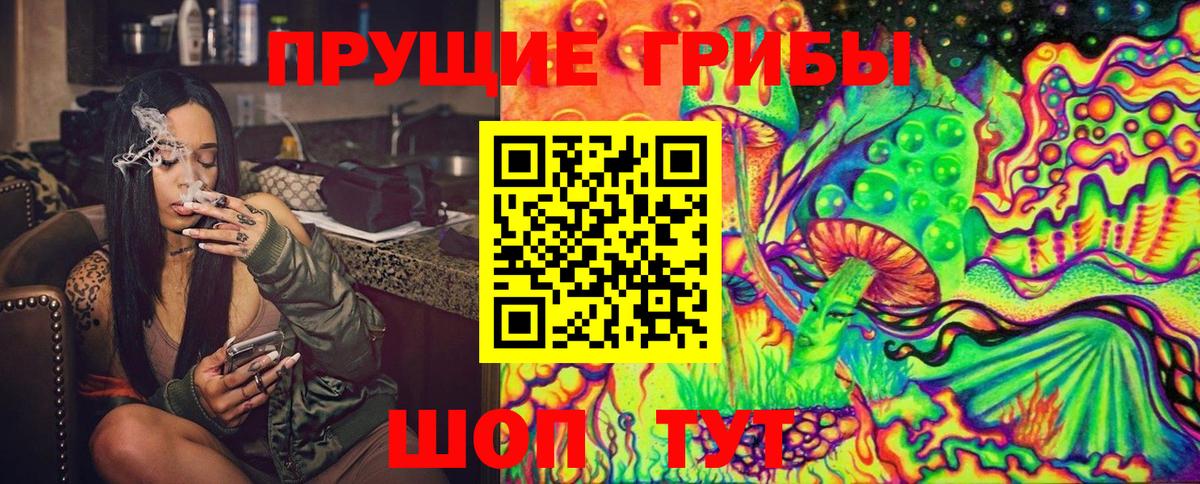Касимов  Галлюциногенные грибы GOLDEN TEACHER  Вход с VPN  Псилоцибиновые грибы MAGIC MUSHROOMS 