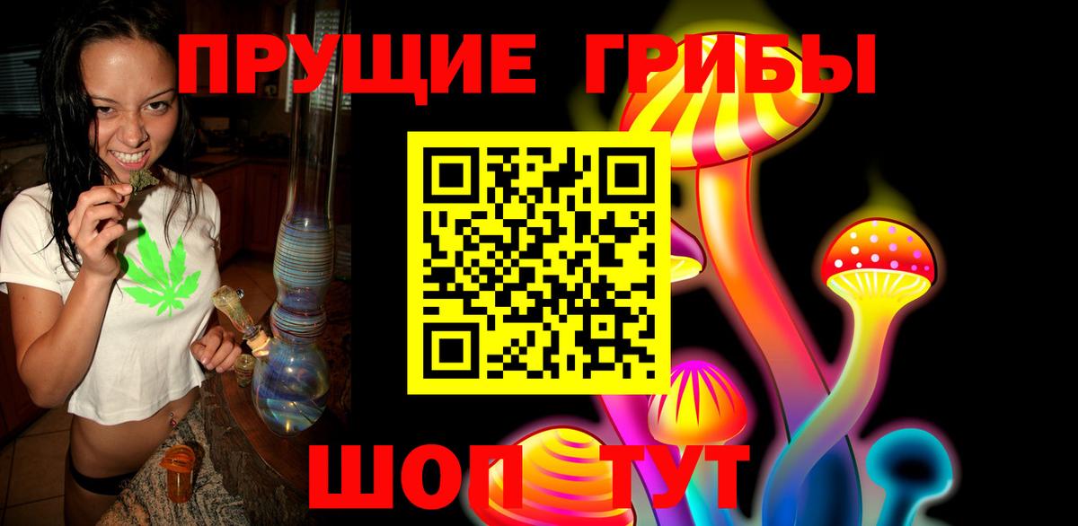 Псилоцибиновые грибы мицелий Касимов